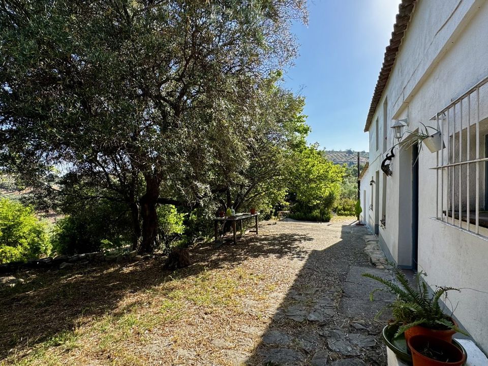 Dom wiejski: Algodonales, Cadiz – zdjęcie 4