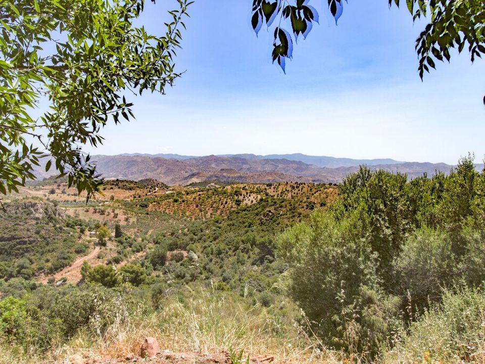 Masia a Almogia, Malaga - foto 2
