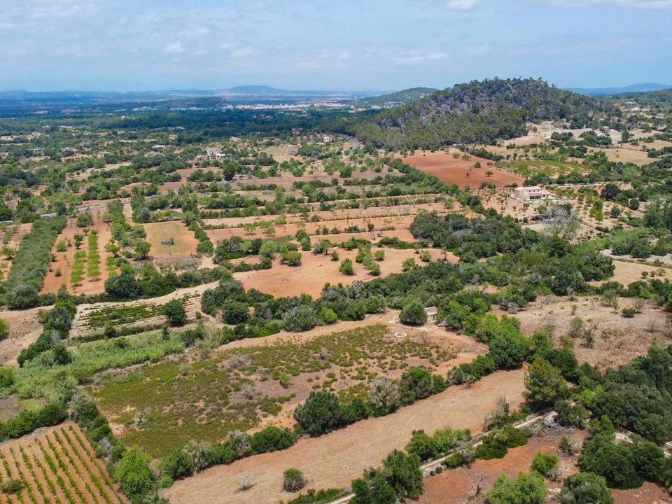 Grond in Felanitx, Mallorca - foto 2