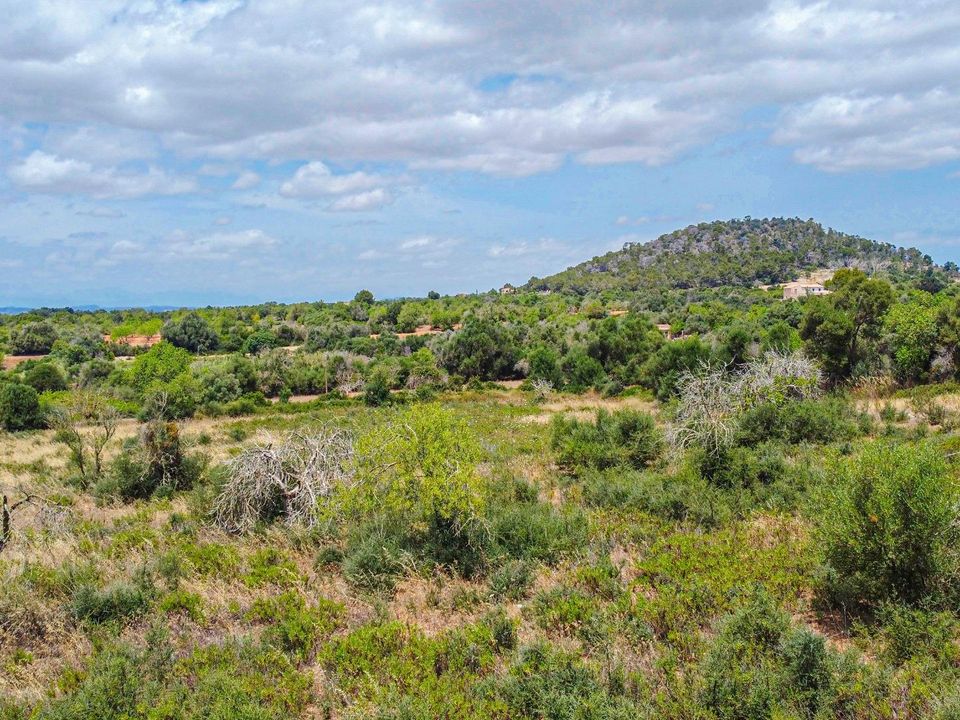 Grond in Felanitx, Mallorca - foto 3
