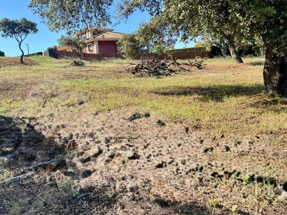 Helårsgrund i Carrascal De Barregas, Salamanca - foto 2