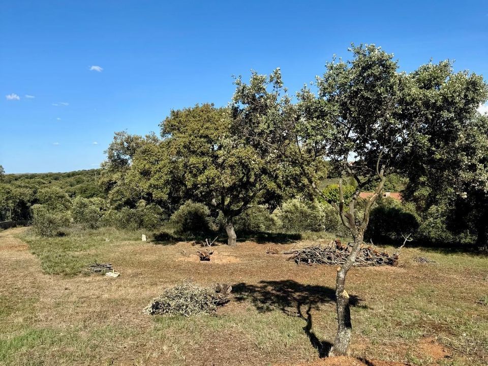Helårsgrund i Carrascal De Barregas, Salamanca - foto 4