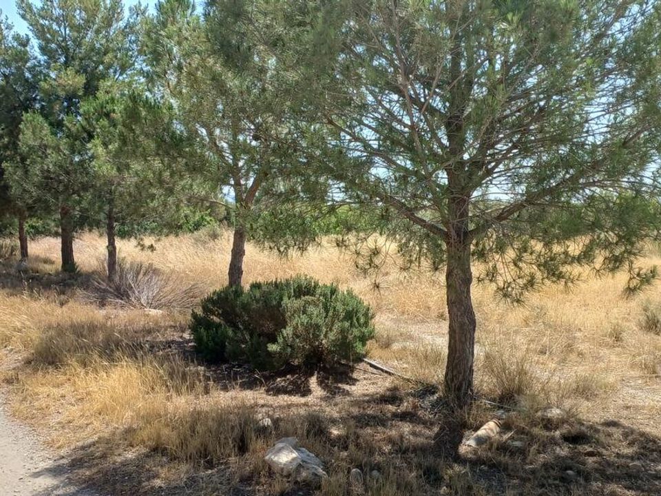 Helårsgrund i Rambla Grande, Almeria - foto 1