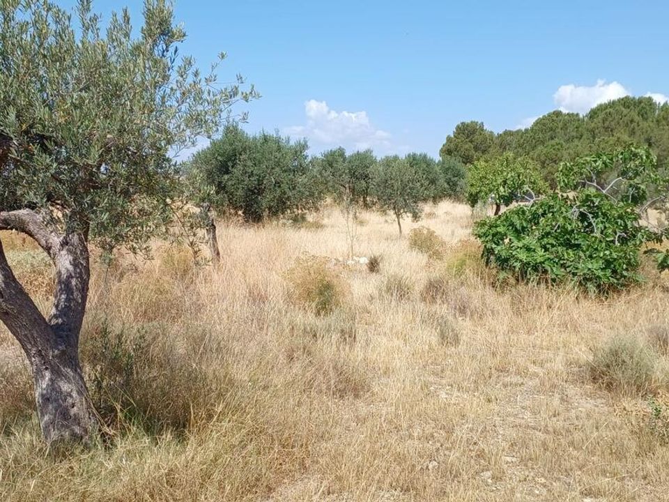 Helårsgrund i Rambla Grande, Almeria - foto 4