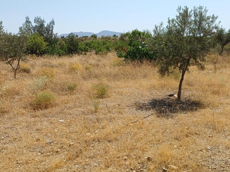 Helårsgrund i Rambla Grande, Almeria - foto 5