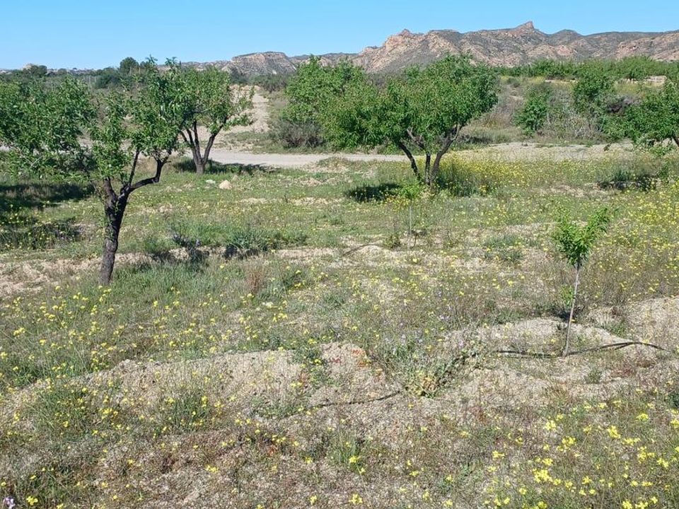 Helårsgrund i Rambla Grande, Almeria - foto 2