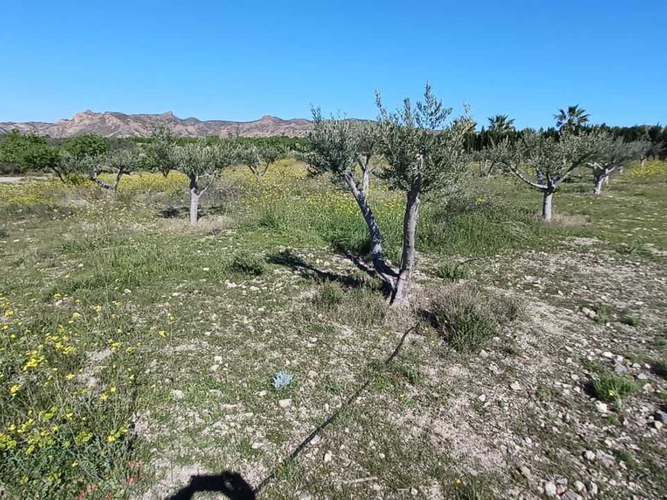 Helårsgrund i Rambla Grande, Almeria - foto 3