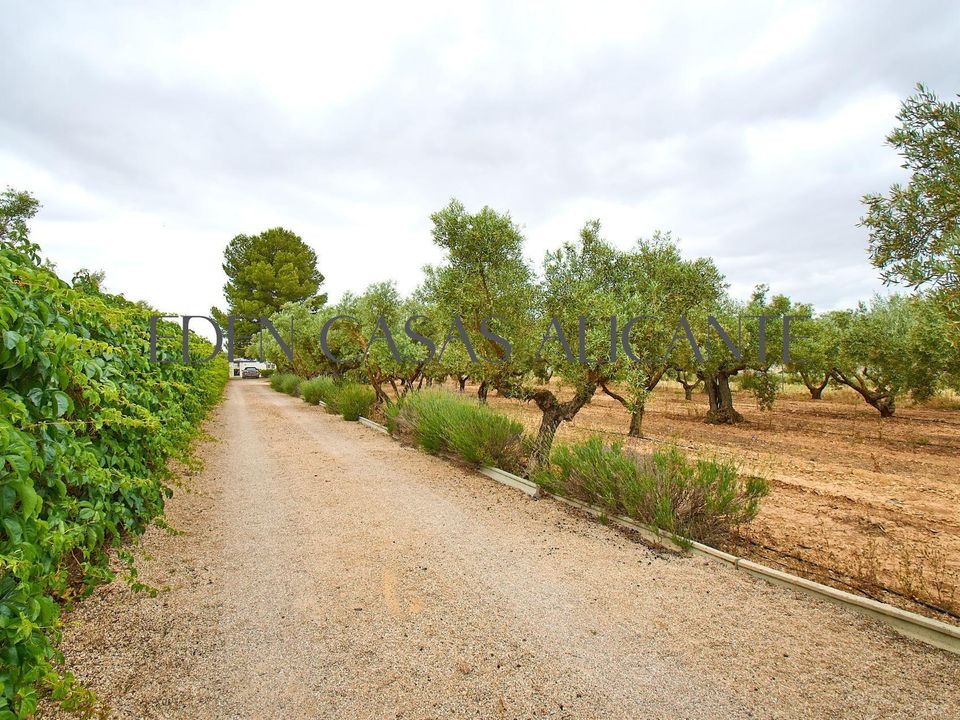 Villa en Biar, Alicante - foto 1