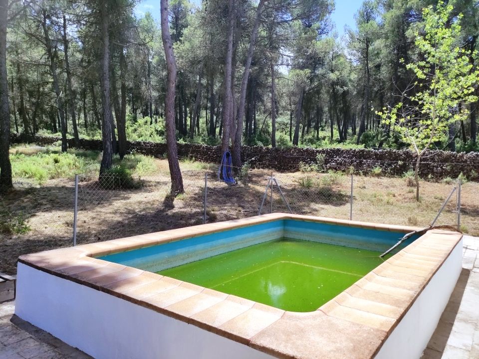 Landejendom i Bocairent, Valencia - foto 2