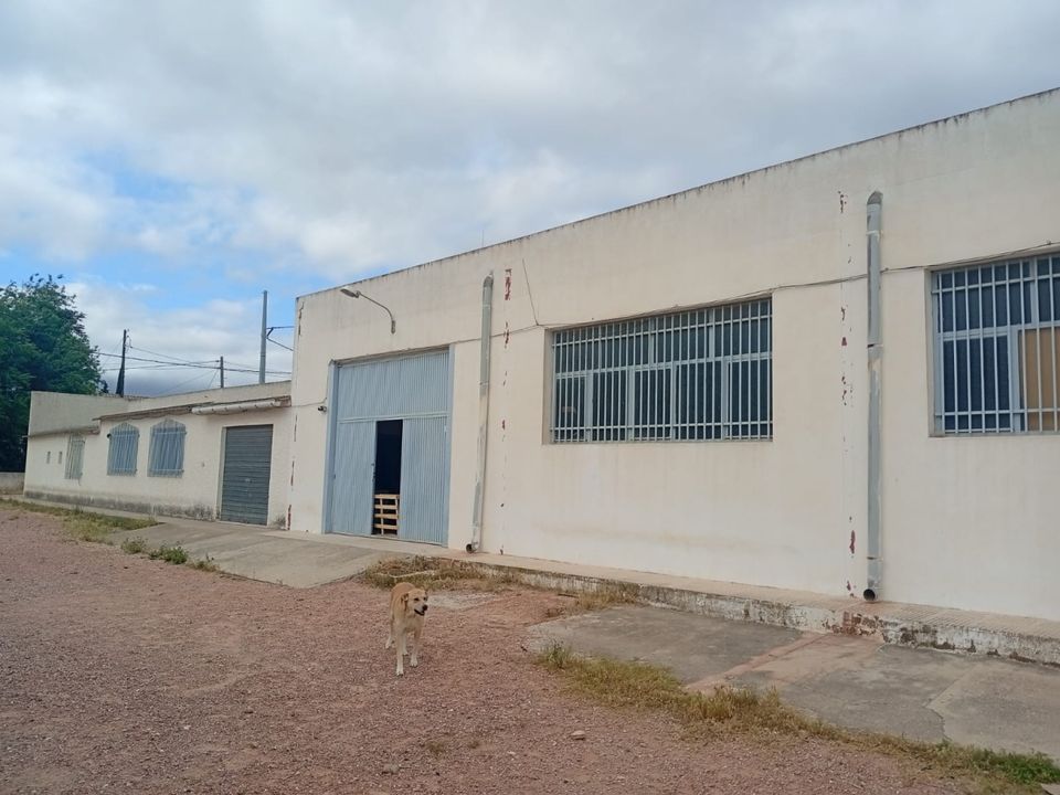 Erhvervsejendom i Salinas, Alicante - foto 1