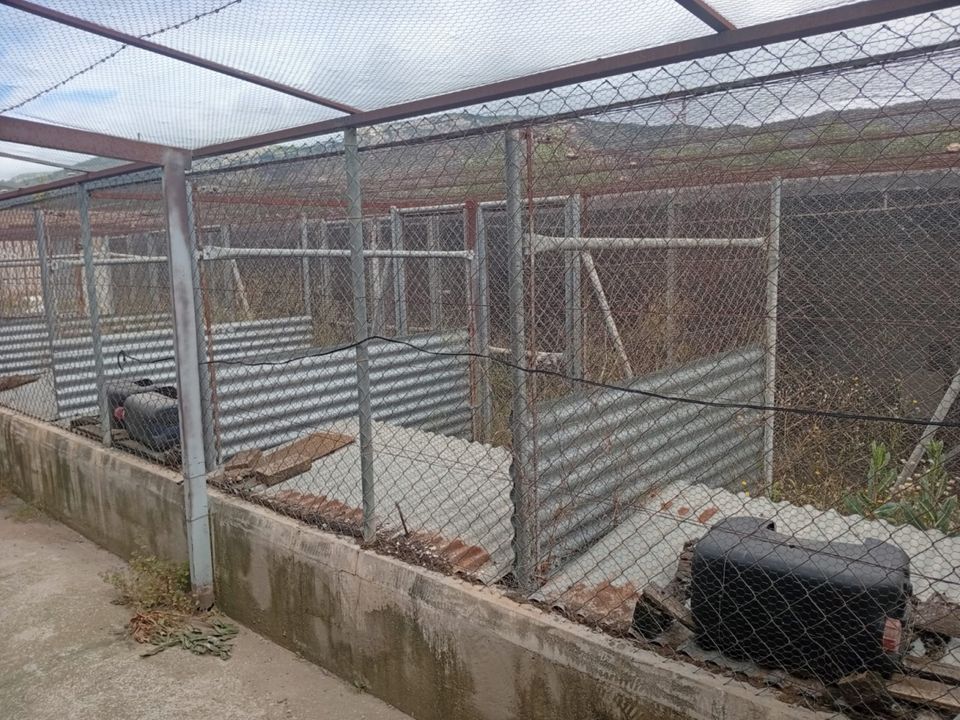 Erhvervsejendom i Salinas, Alicante - foto 3