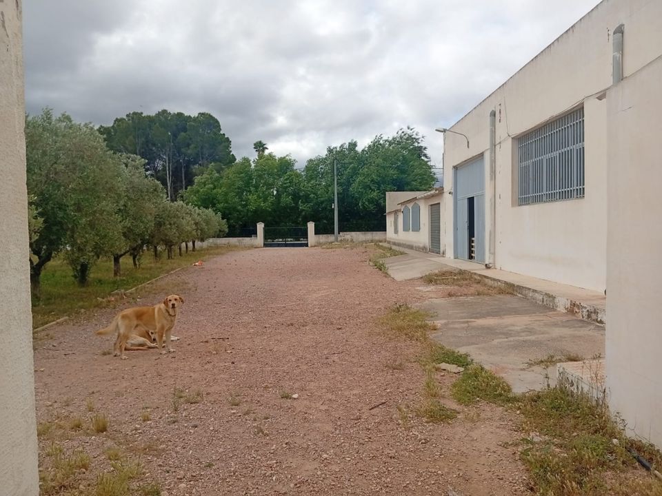 Erhvervsejendom i Salinas, Alicante - foto 5