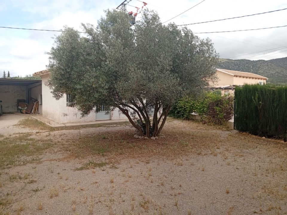 Masia a Salinas, Alicante - foto 5