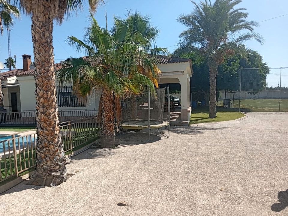 Villa em Crevillent, Alicante - foto 4