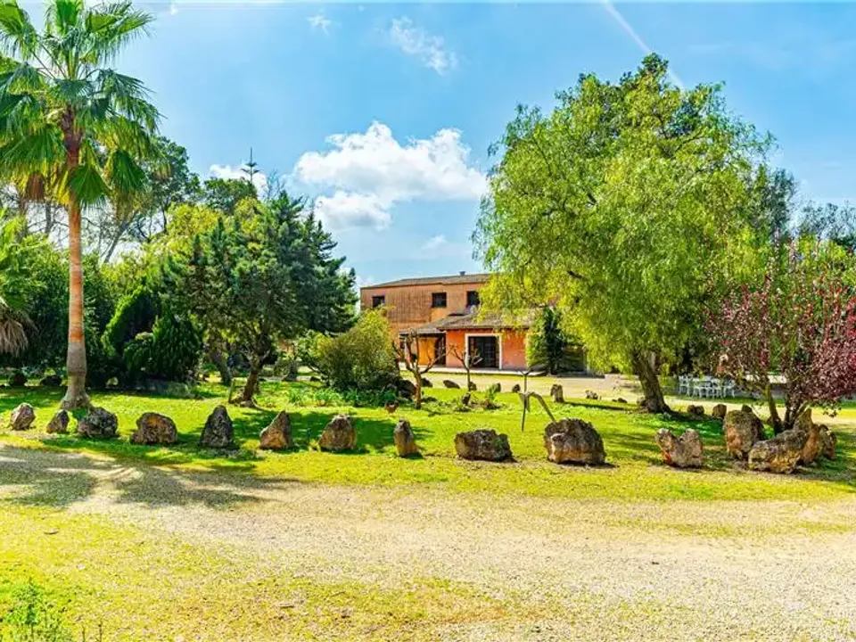 Landejendom i Algaida, Mallorca - foto 1
