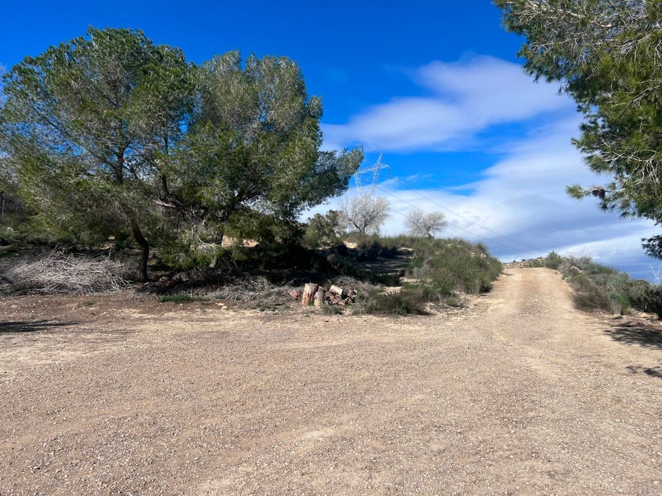 Landejendom i Torremendo, Alicante - foto 3