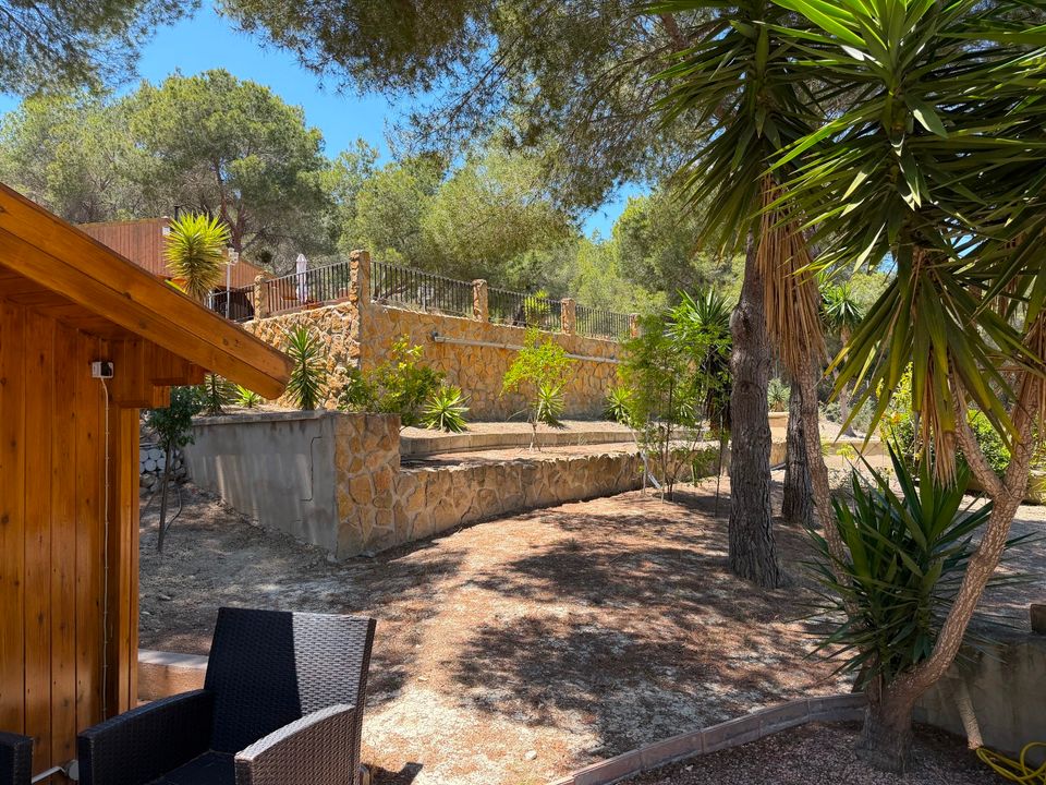 Landejendom i Orihuela, Alicante - foto 3
