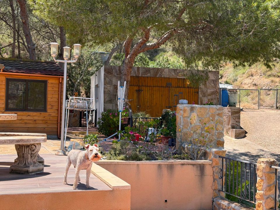Landejendom i Orihuela, Alicante - foto 4