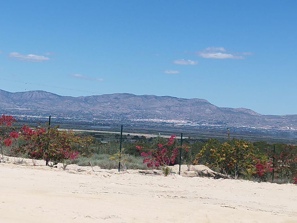 Helårsgrund i San Fulgencio, Alicante - foto 1