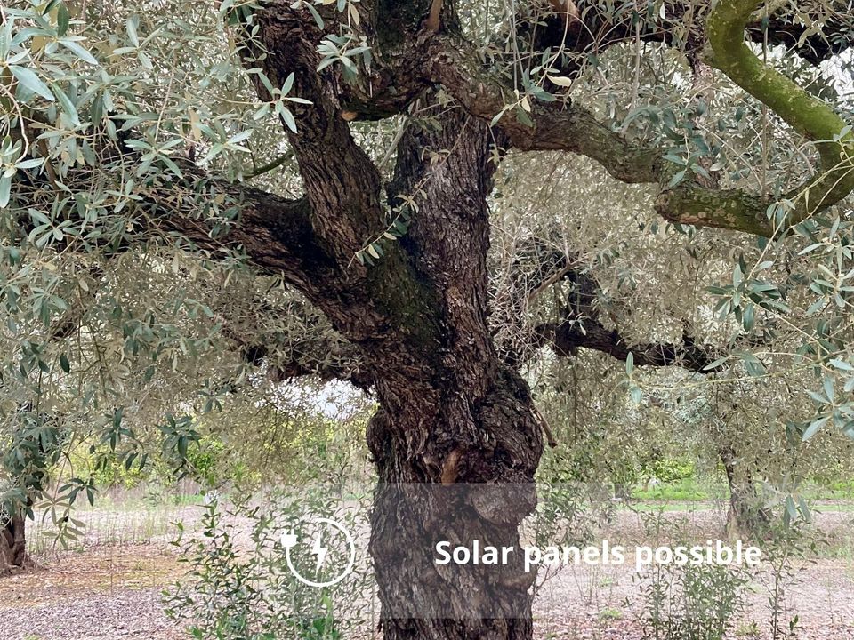 Casa de campo en El Perello, Tarragona - foto 5