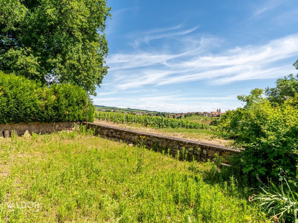 Villa i Régnié-Durette, Rhone - foto 5