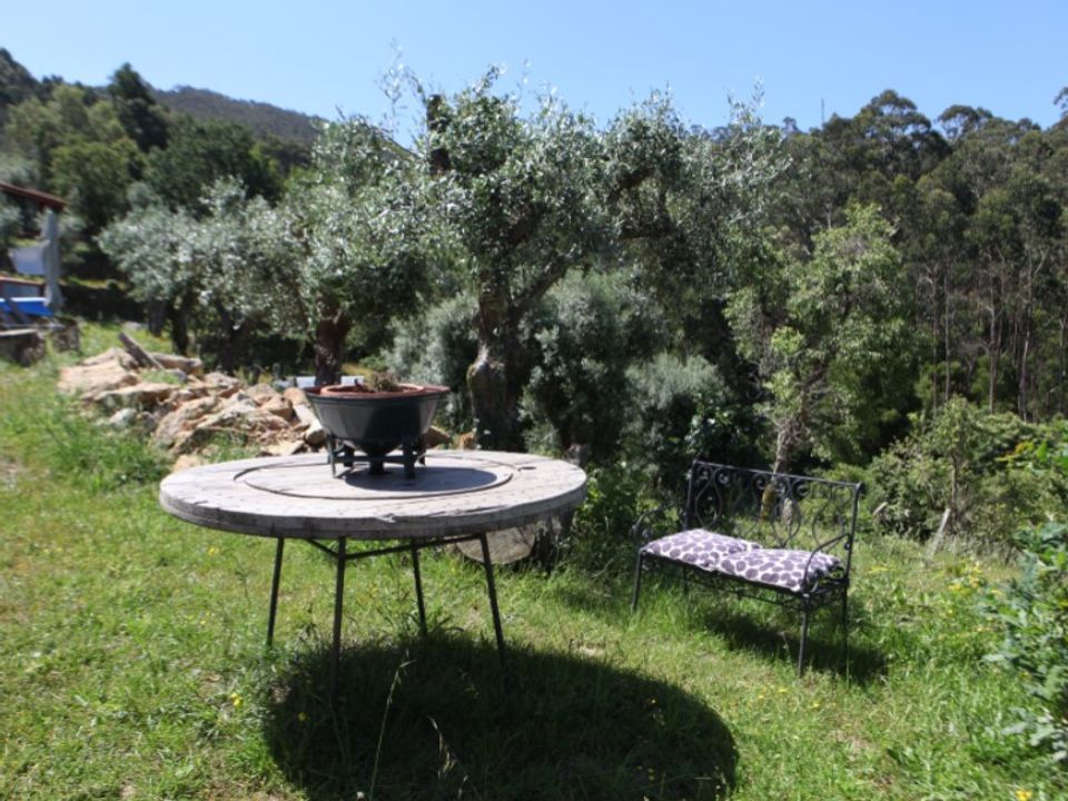 Farm i Caminha, Viana do Castelo - foto 3