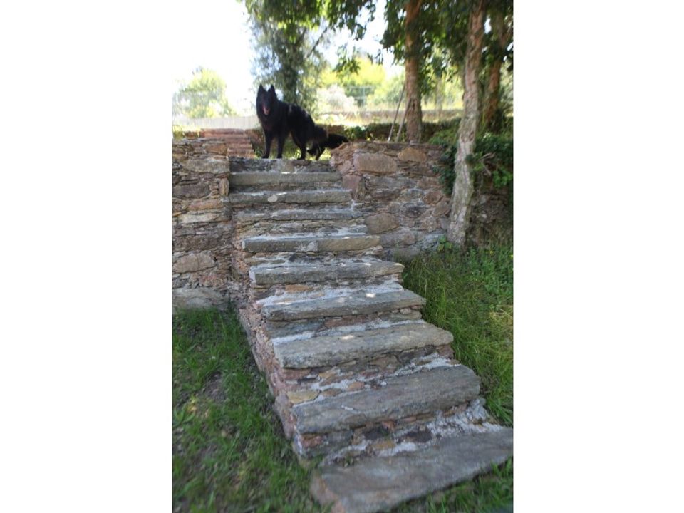 Farm i Caminha, Viana do Castelo - foto 5