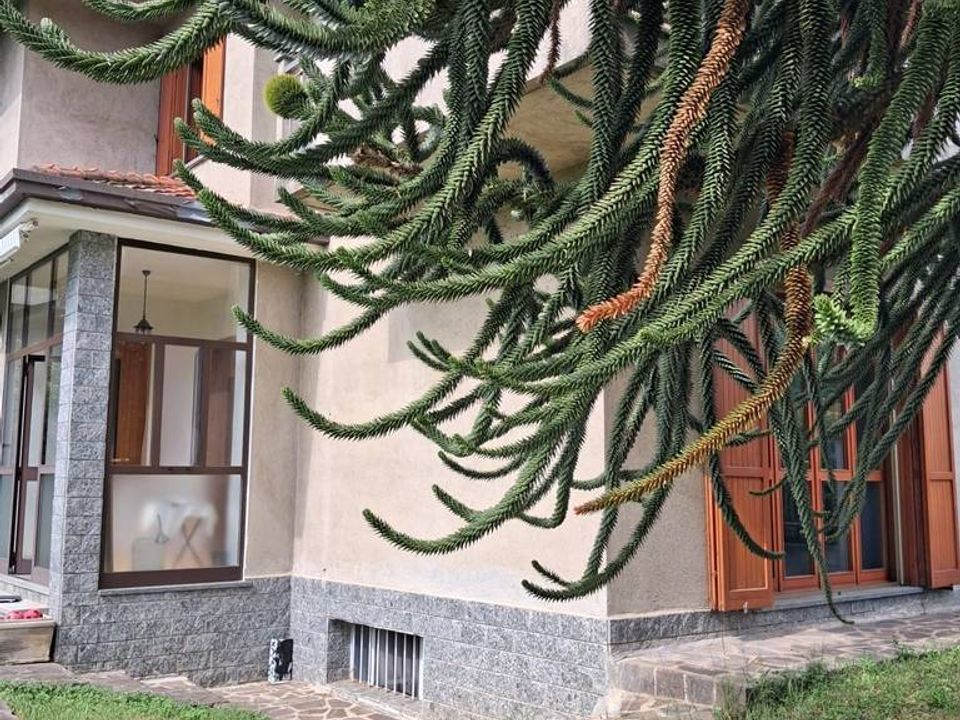 Villa i Seveso, Monza and Brianza - foto 2