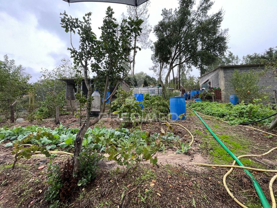Farm hus i Abrantes, Santarem - foto 4
