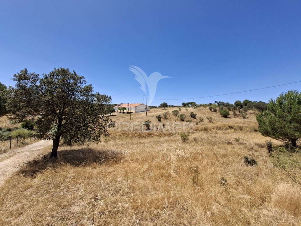 Masia a Alandroal, Evora - foto 4