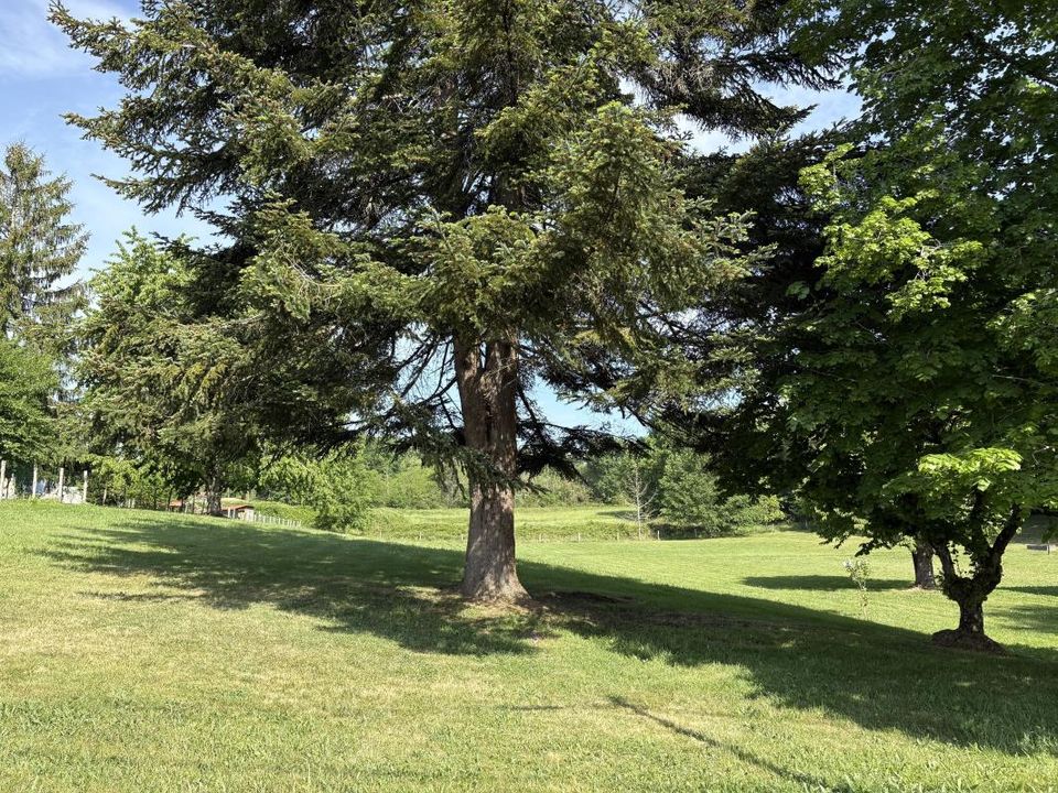 Helårsgrund i Saint-Sauveur, Dordogne - foto 1