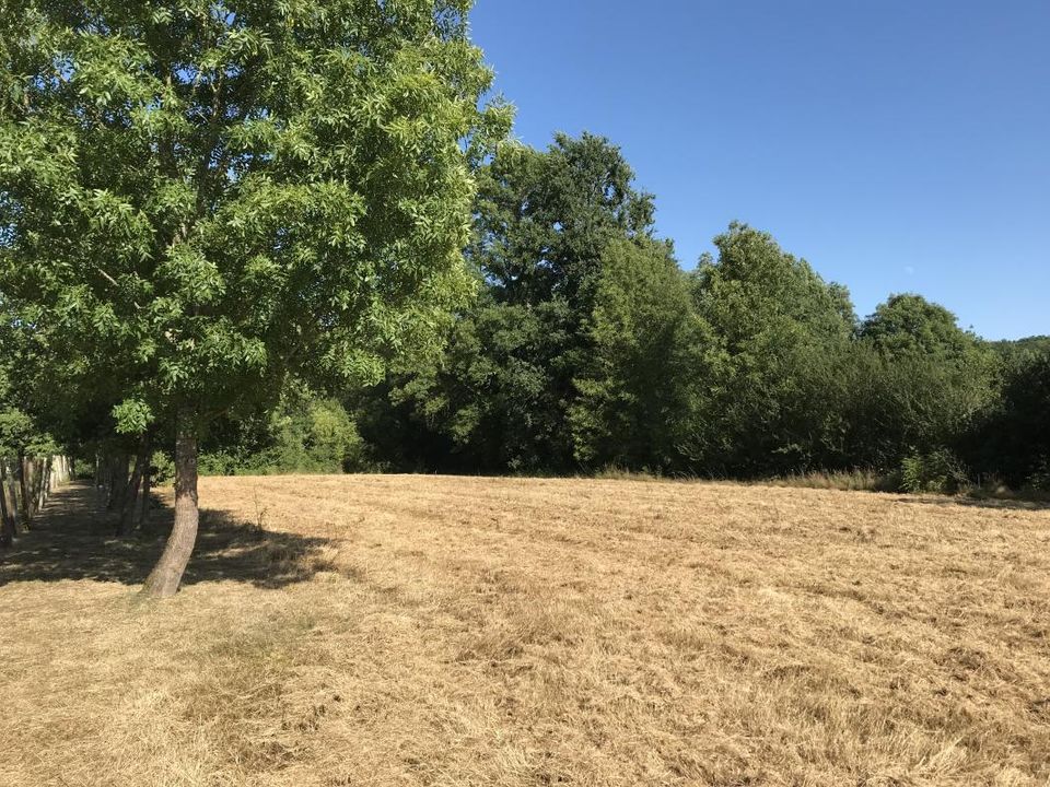 Helårsgrund i Saint-Nexans, Dordogne - foto 1