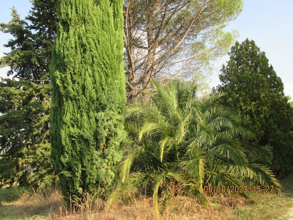 Villa i Cupramontana, Ancona - foto 4