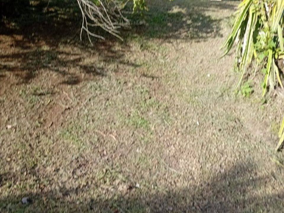 Villa em Riviere-Pilote, Martinique - foto 2