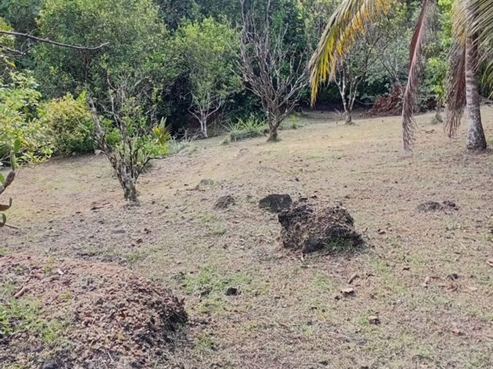 Villa em Riviere-Pilote, Martinique - foto 3