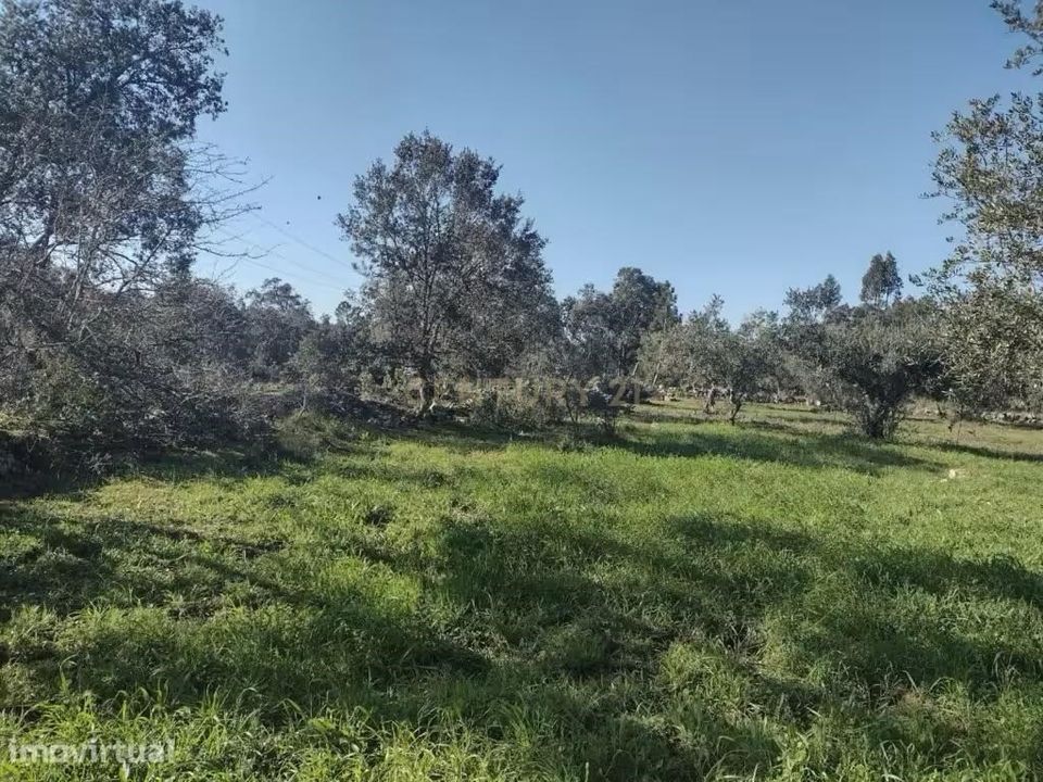 Helårsgrund i Ourem, Santarem - foto 2