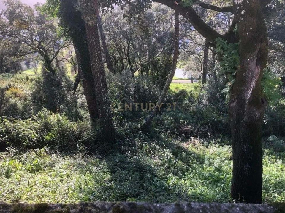 Helårsgrund i Ourem, Santarem - foto 4