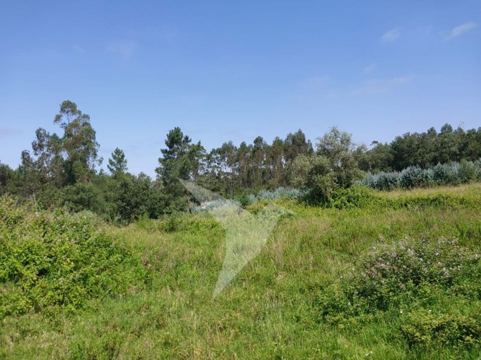 Helårsgrund i Aljubarrota, Leiria - foto 2