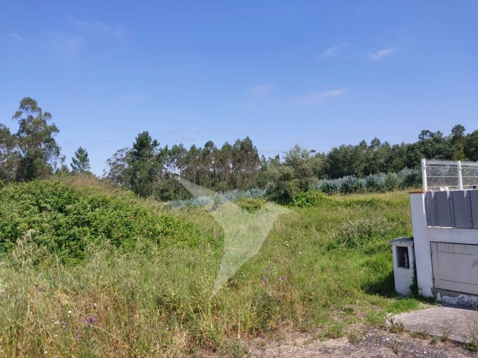 Helårsgrund i Aljubarrota, Leiria - foto 3