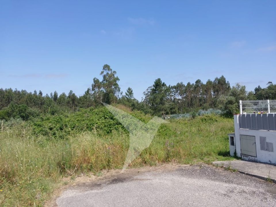 Helårsgrund i Aljubarrota, Leiria - foto 5