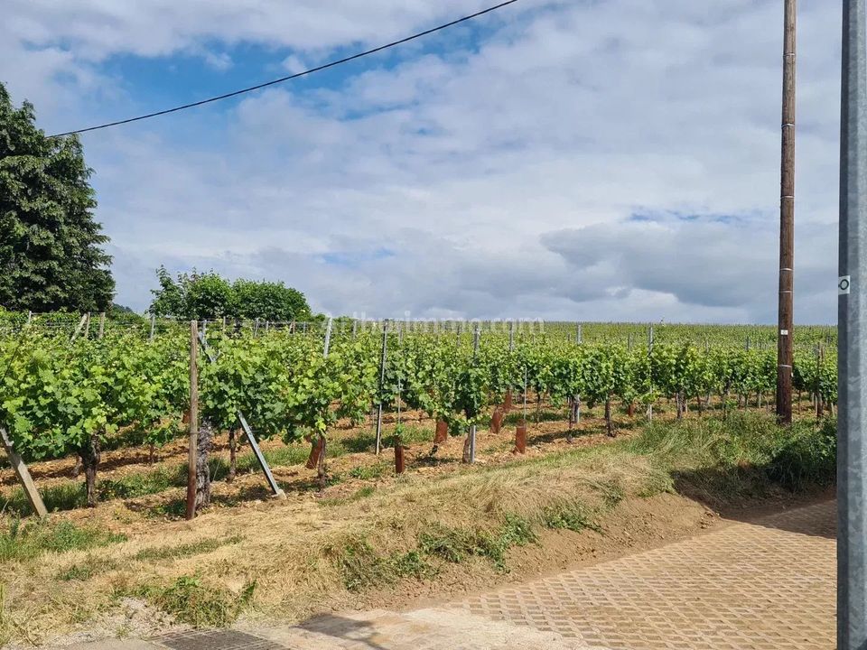 Terreno en Obermorschwihr, Haut-Rhin - foto 2