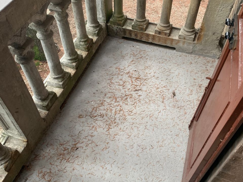 Apartament: Reggio nell'Emilia, Reggio Emilia – zdjęcie 5