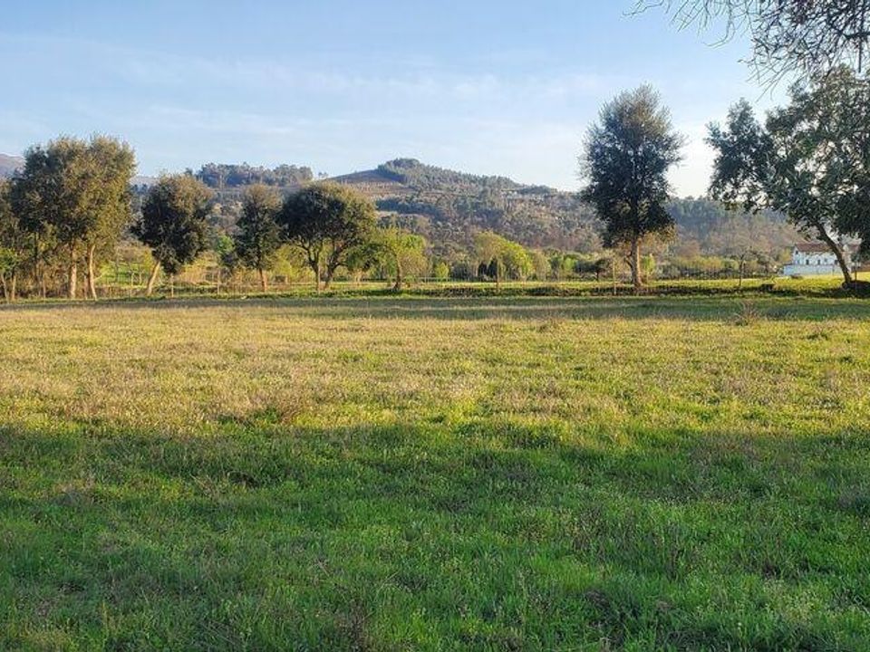 Granja a Fundao, Castelo Branco - foto 3