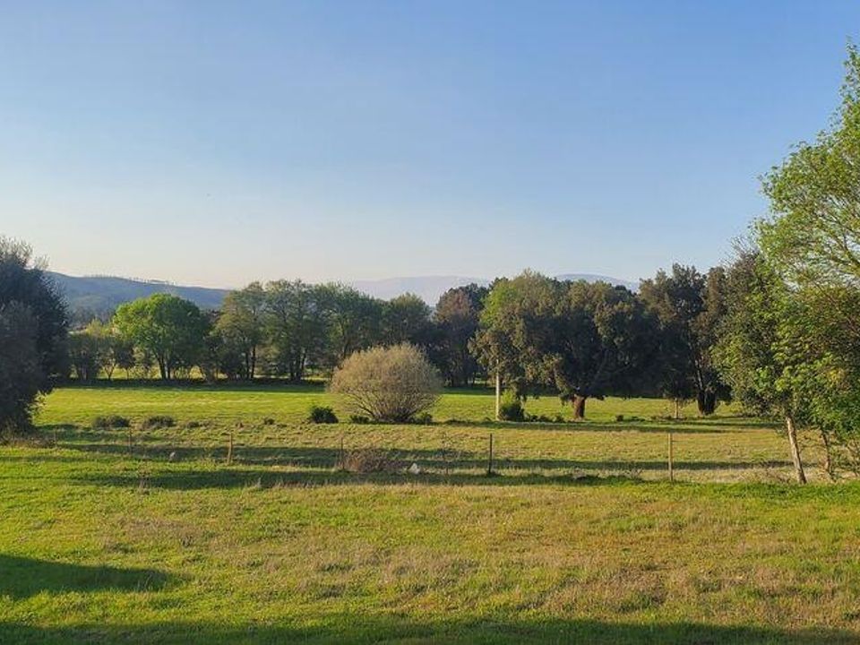Granja a Fundao, Castelo Branco - foto 5