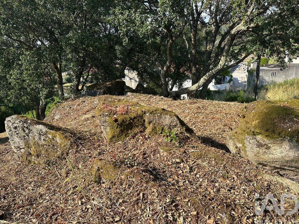 Helårsgrund i Viana do Castelo, Viana do Castelo - foto 2