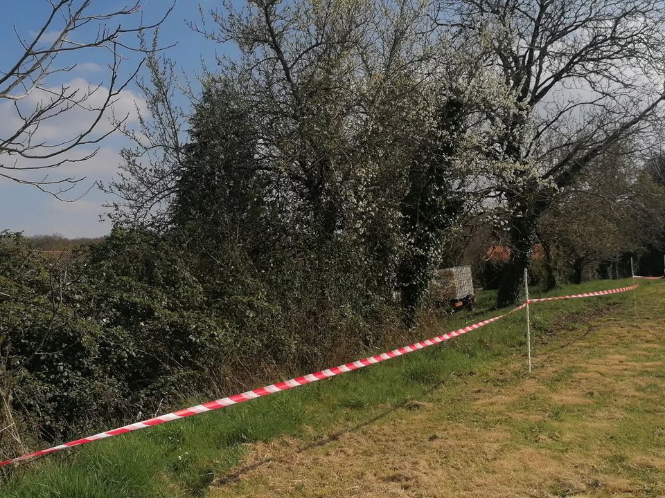 Terra a Savignac-De-Nontron, Dordogne - foto 2