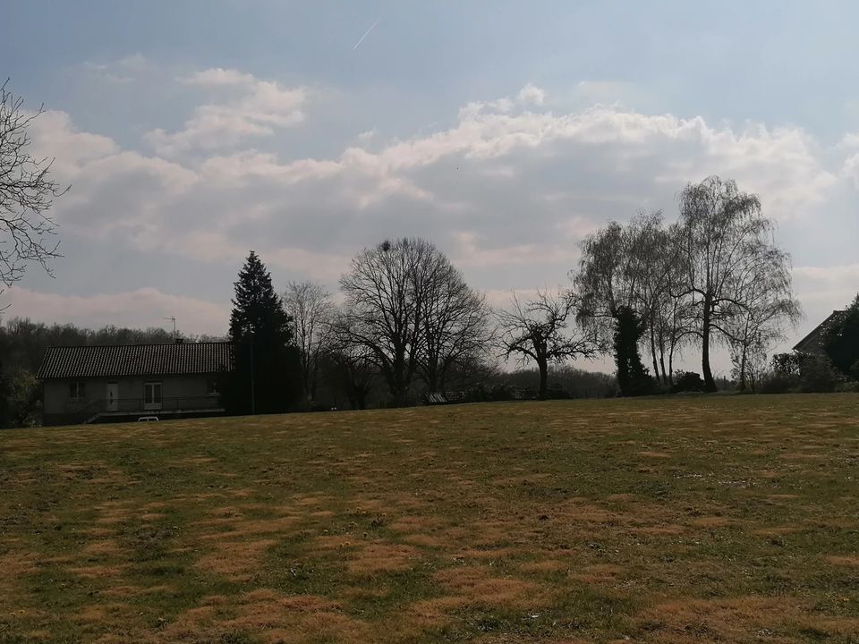 Terra a Savignac-De-Nontron, Dordogne - foto 3