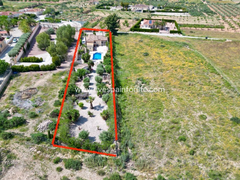 Villa i Hondon De Los Frailes, Alicante - foto 2
