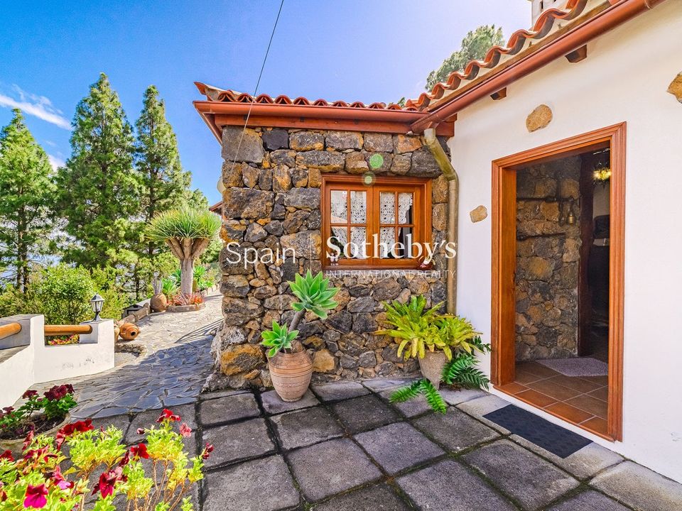 Farm i Icod de los Vinos, Tenerife - foto 2