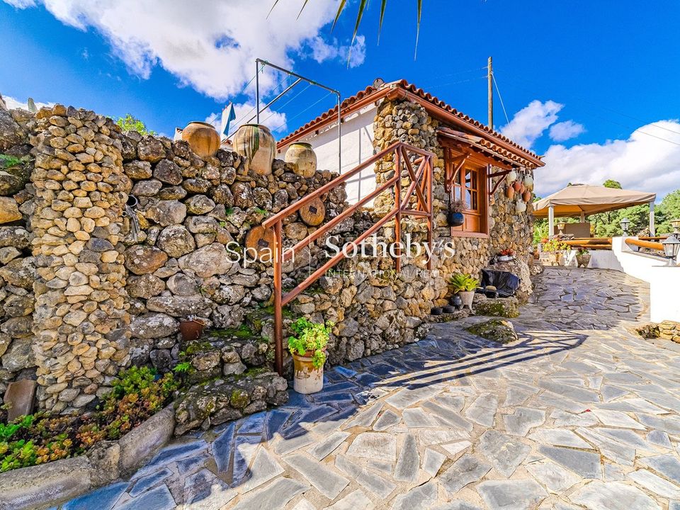 Farm i Icod de los Vinos, Tenerife - foto 3